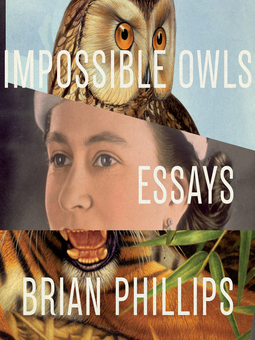 Cover image for Impossible Owls